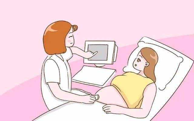 借卵试管婴儿费用大约多少，2024上海瑞金医院可以做供(借)卵试管婴儿吗？附卵